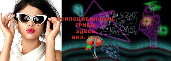 молекула духа Киренск